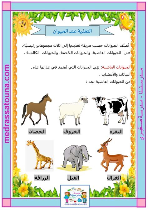 لا تستطيع الحيوانات إنتاج طعامها لا تستطيع الحيوانات إنتاج طعامها