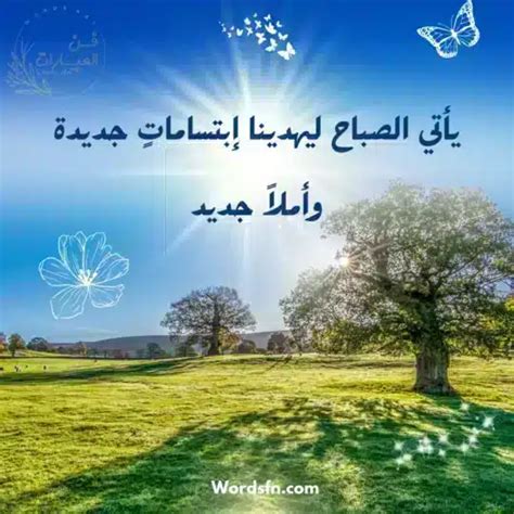 لحظة قصيرة في الصباح - أفضل إجابة