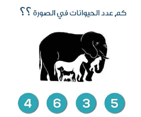 لقد أصبح الشيء اثنان، لذا حل لغز الشيء الذي أصبح حرفين من 5 أحرف - الأثير الثقافي
