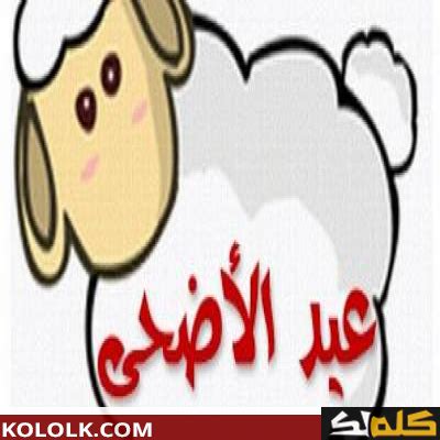 لماذا سمي عيد الأضحى بهذا الاسم ؟ - صدى البلد