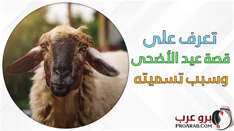 لماذا سمي عيد الأضحى بهذا الاسم - موضوع