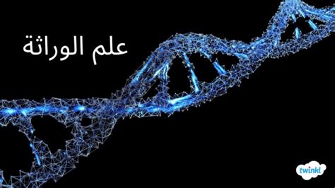 ما الذي لا ينتمي إلى علم الوراثة؟