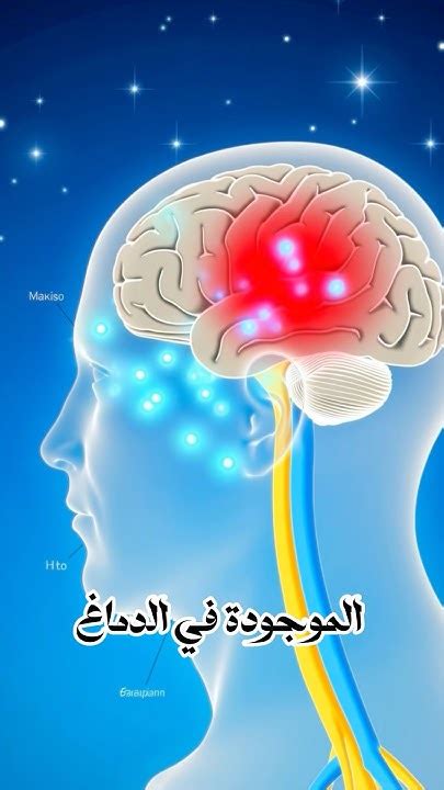 ما الهرمون الذي يتحكم في ظاهرة هيمنة القمة النامية؟