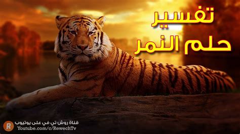 ما تفسير حلم النمر في الحلم السحري - 4 فوائد ما تفسير حلم النمر في الحلم السحري - 4 فوائد