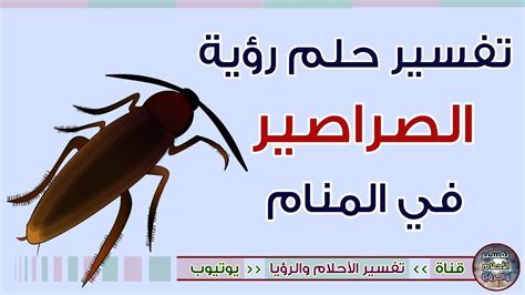 ما تفسير رؤية صرصور في حلم ابن سيرين؟