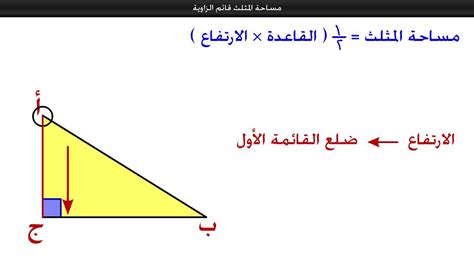 ما محيط مثلث قائم الزاوية طوله 10 سم وساقه 9 سم - solubilizer ما محيط مثلث قائم الزاوية طوله 10 سم وساقه 9 سم - solubilizer