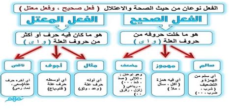 ما هو الفعل المكتوب بشكل صحيح؟