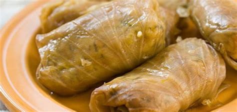 ما هو تفسير الحلم الذي يعد فيه الموتى الملفوف المحشو - أجبني ما هو تفسير الحلم الذي يعد فيه الموتى الملفوف المحشو - أجبني