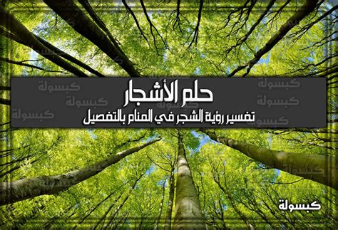 ما هو تفسير الشخص الميت الذي يريد أن يزرع الأشجار في المنام - 4 فوائد ما هو تفسير الشخص الميت الذي يريد أن يزرع الأشجار في المنام - 4 فوائد