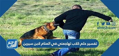 ما هو تفسير حلم الكلاب تهاجمني في المنام كامل لابن سيرين - أخبار تن