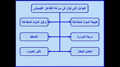 ما هي العوامل التي يمكن أن تؤثر على تقسيم أقسام الميزانية؟ ما هي العوامل التي يمكن أن تؤثر على تقسيم أقسام الميزانية؟