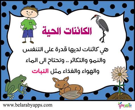 ما هي الكائنات الحية وغير الحية المصنوعة من - الحل - منتدى العلوم