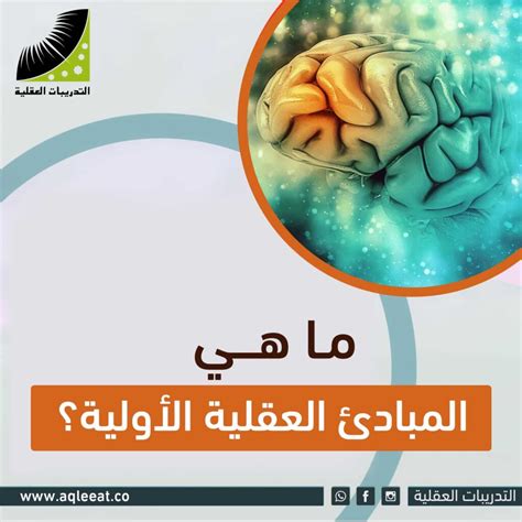 ما هي المبادئ الثلاثة التي يجب أن يعرفها الإنسان؟