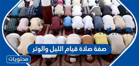 ما هي مميزات صلاة الليل والوتر - القراءة - السوق المفتوح