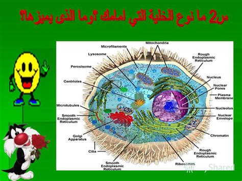 ما هي وحدة التركيب والوظيفة في جسم الكائن الحي؟