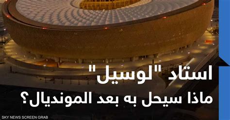 ماذا سيحل باليرقة - معلومات وحلول شاملة
