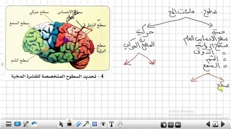 ماذا يعني الحبل - علوم عظيمة