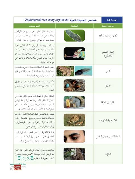 ماذا يفعل علماء الأحياء؟ ماذا يفعل علماء الأحياء؟