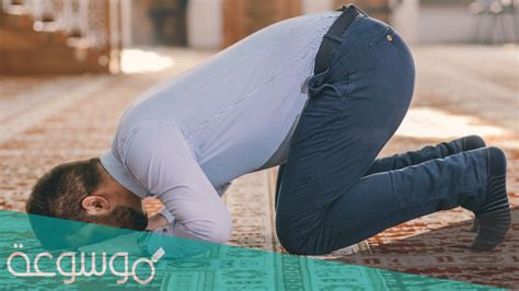 ماذا يقال في سجود القرآن الكريم عند رد الشيعة؟
