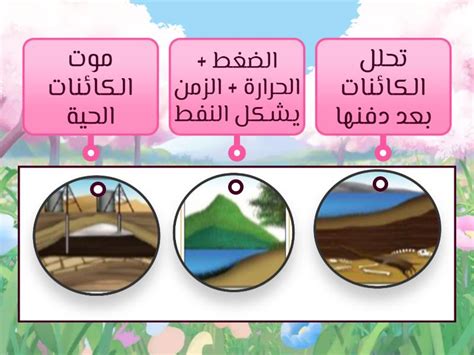 مراحل تكوين العلوم التفسيرية - صفحة الاستكشاف مراحل تكوين العلوم التفسيرية - صفحة الاستكشاف