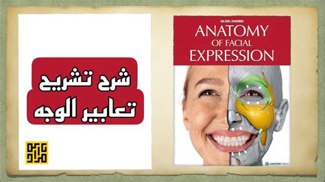 مصطلح لتعبيرات الوجه - الإجابات