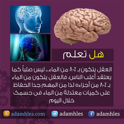 معلومات عامة عن العلم - الموضوع
