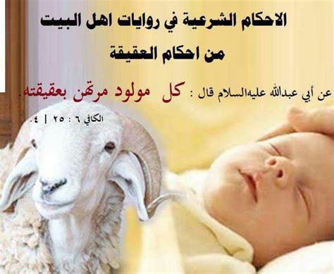 معنى حديث المولود بالفطرة فيسمح له والديه بالتهويد أو التقليد أو التنصير