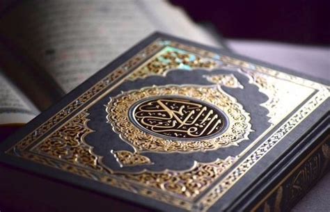 معنى رؤية القرآن في المنام تفسير إعطاء هدية من القرآن في المنام - معنى الموقع معنى رؤية القرآن في المنام تفسير إعطاء هدية من القرآن في المنام - معنى الموقع