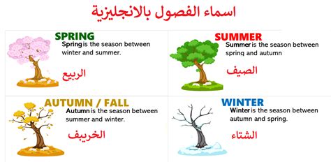 مقال عن الطقس باللغة الإنجليزية مع الترجمة