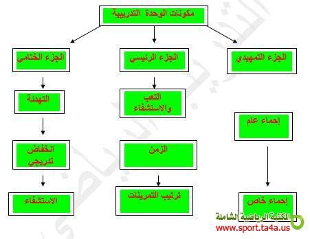 مكونات الدورة التدريبية 1 الإحماء 2 الجزء الرئيسي 3 تهدئة - بحار العلم