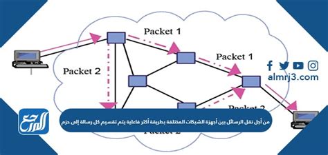 من أجل نقل الرسائل بشكل أكثر كفاءة بين الأجهزة المختلفة عبر الشبكات، يتم تقسيم كل رسالة إلى حزم صحيحة أو خاطئة.