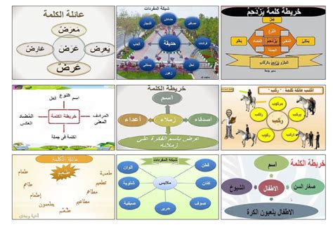 من اقسام الشوكة - شبكة الاستجابة