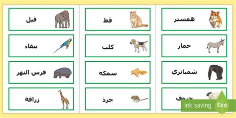 من الحيوانات 4 أحرف - مقال