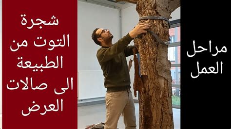 من الطبيعة إلى العمل الفني