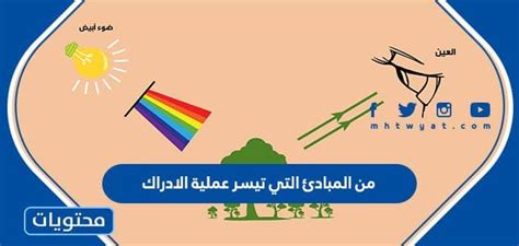 من المبادئ التي تسهل عملية الإدراك - حفظ