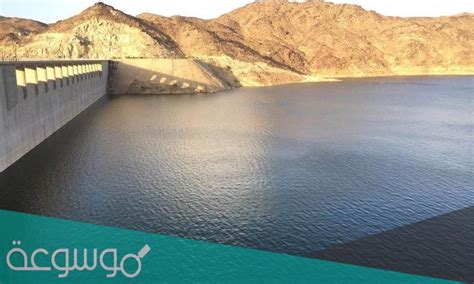 من المياه السطحية في المملكة - الحل - النشر