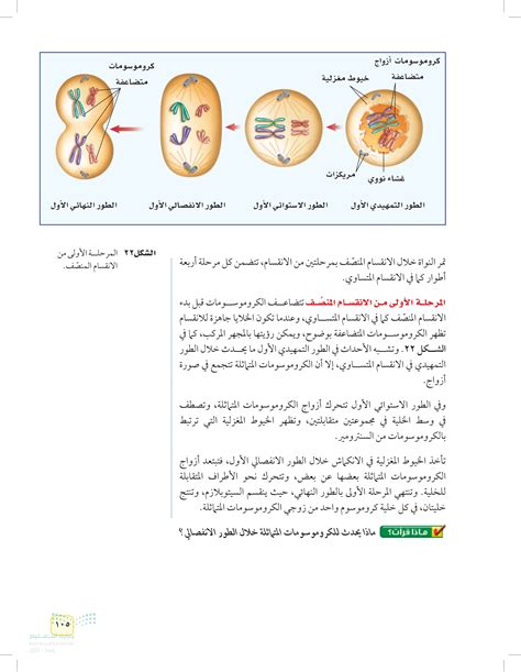 من انقسامات الشوكة - بيت المعرفة
