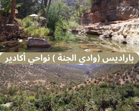 من بين أنهار الجنة وادي - أفضل إجابة