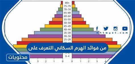 من فوائد الهرم السكاني التعلم - قوة المعلومات