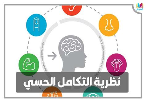 من مبادئ التنظيم الحسي المفهوم ... لفهم الظاهرة والشكل والسبب - موقع البياق