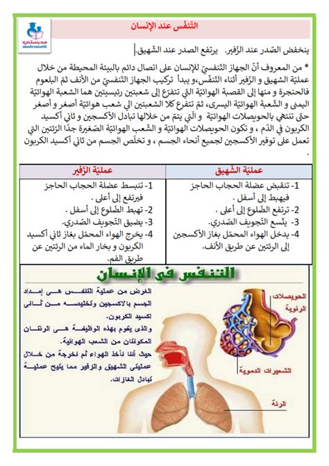 من مميزات التنفس - مجلة اوراق