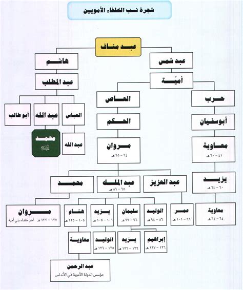 من هو آخر الخلفاء الأمويين في الأندلس - الوحشي