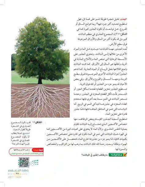من وظائف الجذور - المبدعون العرب