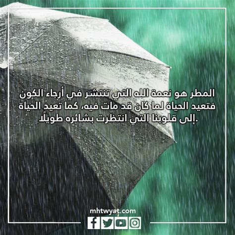 موضوع مطبوعة عن المطر - صفحة محتوى