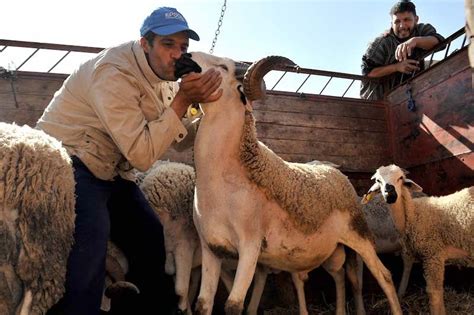 موعد صلاة عيد الأضحى 2024 في المغرب بالساعة في جميع المحافظات - المرجــع الأولــ