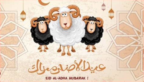 موعد وقفة عرفات وأول أيام عيد الأضحى في مصر 2024 متى ذبح الأضحية؟