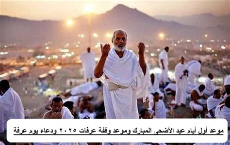 موعد يوم عرفة.. والإفتاء صيام وقفة الأضحى سنة مؤكدة تكفر ذنوب عامين