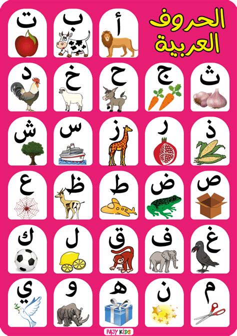 موقف من 5 أحرف لإبراز العرب - ملخص الحلول