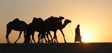 ميراث الأنبياء - تعريف الصحابي: الصحابي من التقى بالنبي صلى الله عليه وسلم وآمن به ومات ...