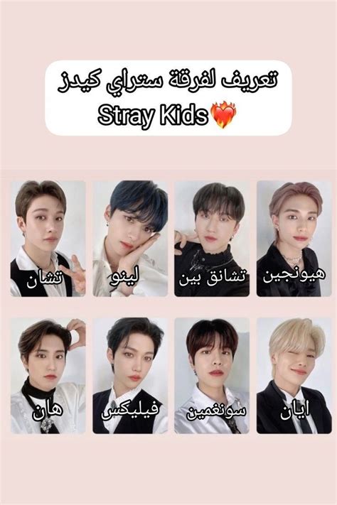 مين هو البايس حقك الي من فرقه ستراي كيدز | TikTok سؤال وجوال